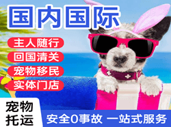 大兴机场邮寄国际宠物托运 【国